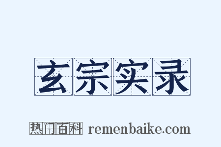 玄宗实录是什么意思的图片